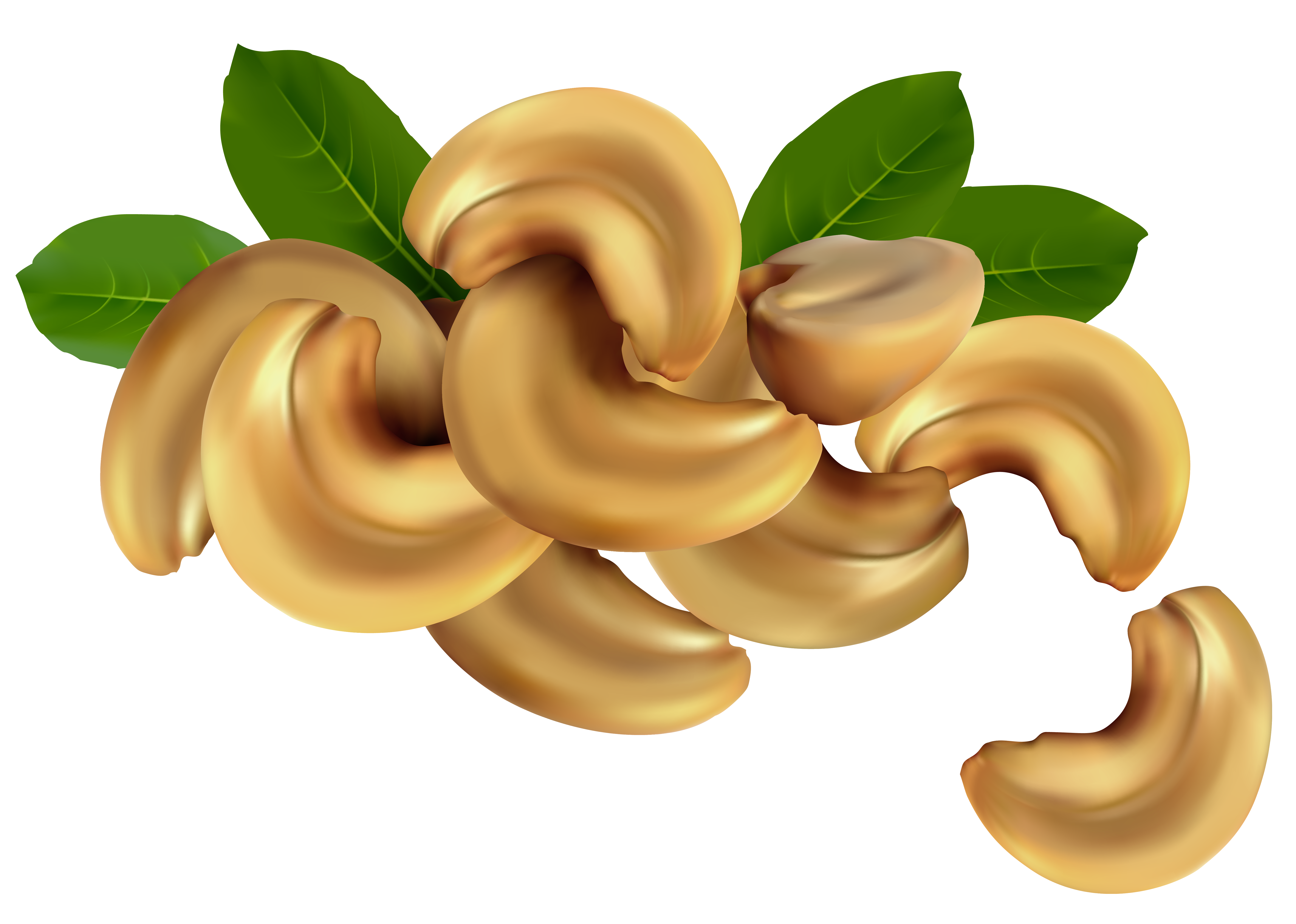 Cashew Nuts PNG Clipart Image 