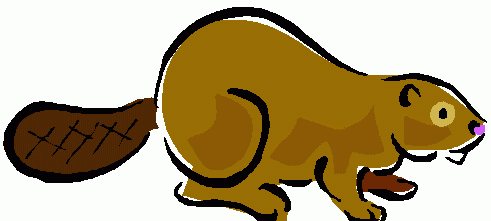 Beaver Illustration - Friendly Cartoon Animal for Educational Content
