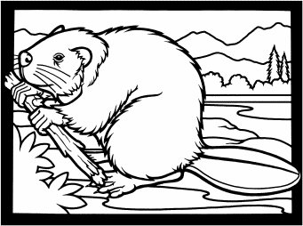 A black-and-white line drawing of a beaver gnawing on a branch beside water with mountains and trees in the background.
