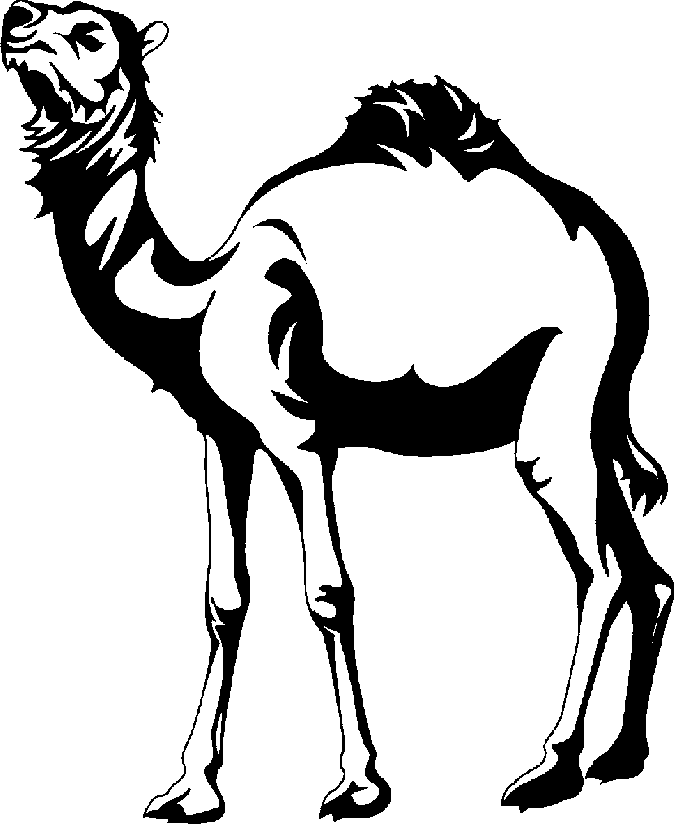 Black-and-white stylized illustration of a standing camel with open mouth and single hump, in bold silhouette style.