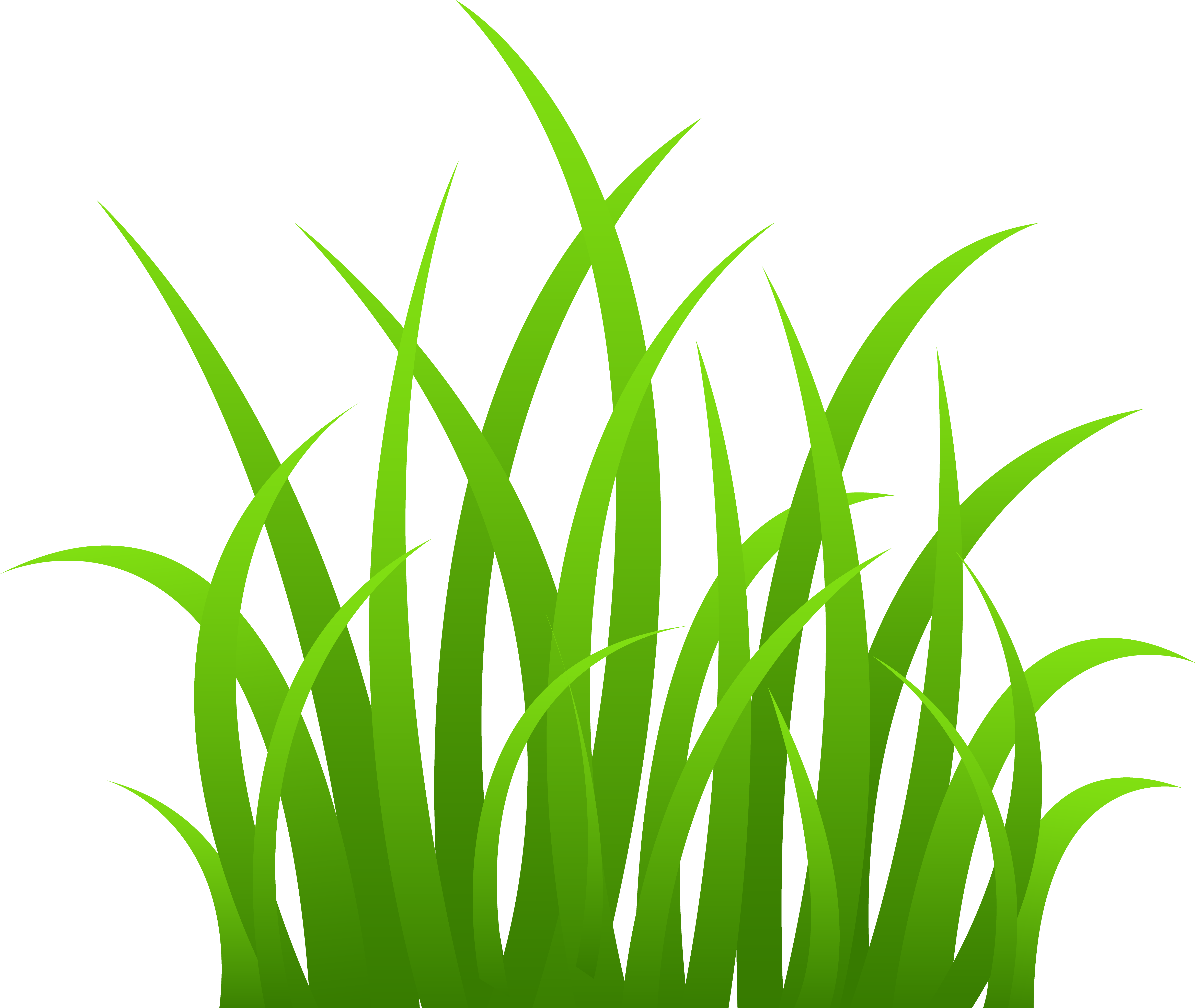Vibrant green grass blades with layered shading, illustrated in clean vector style against transparent background.