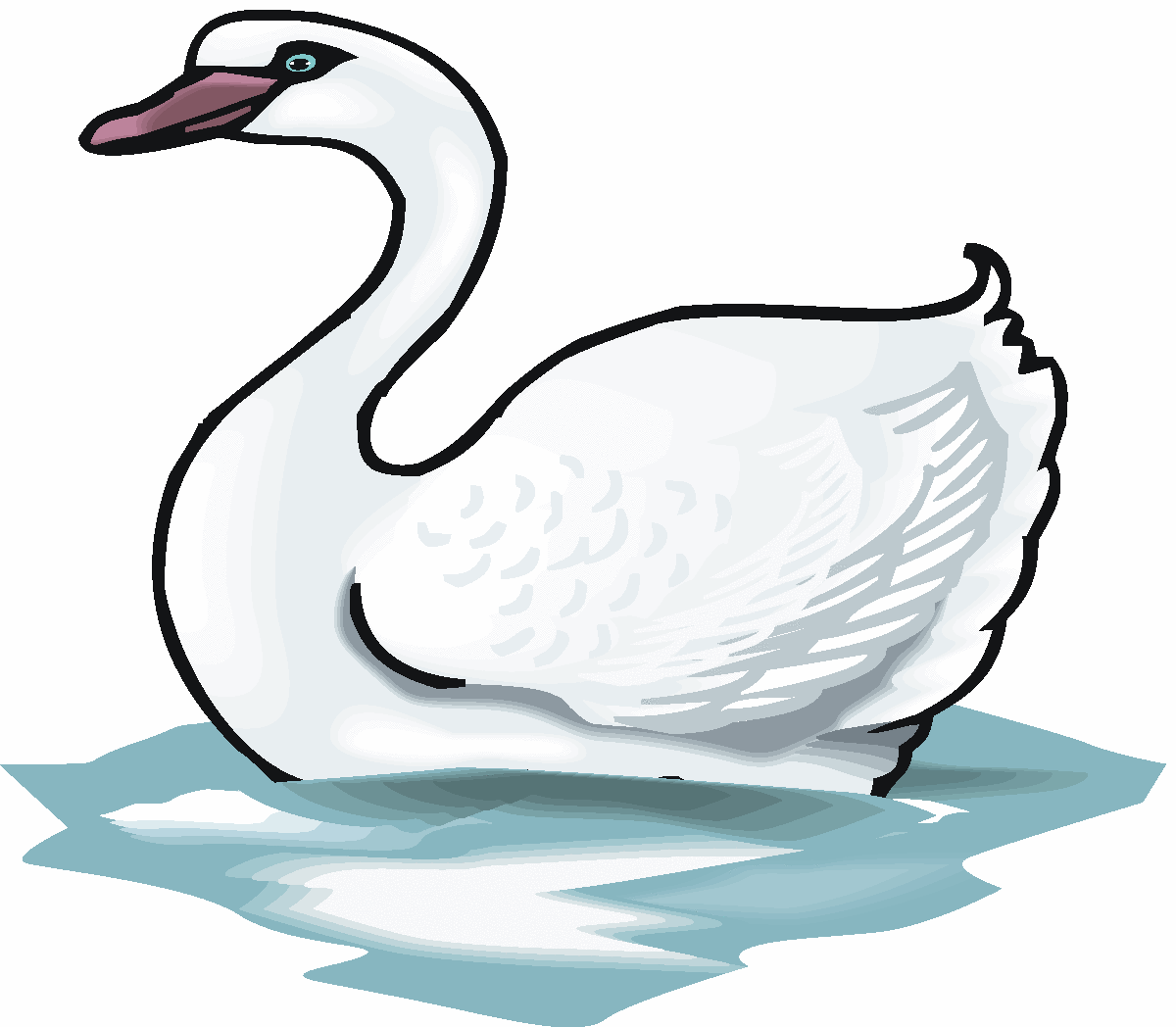 Free whooper swan clipart free clipart graphics image and image 