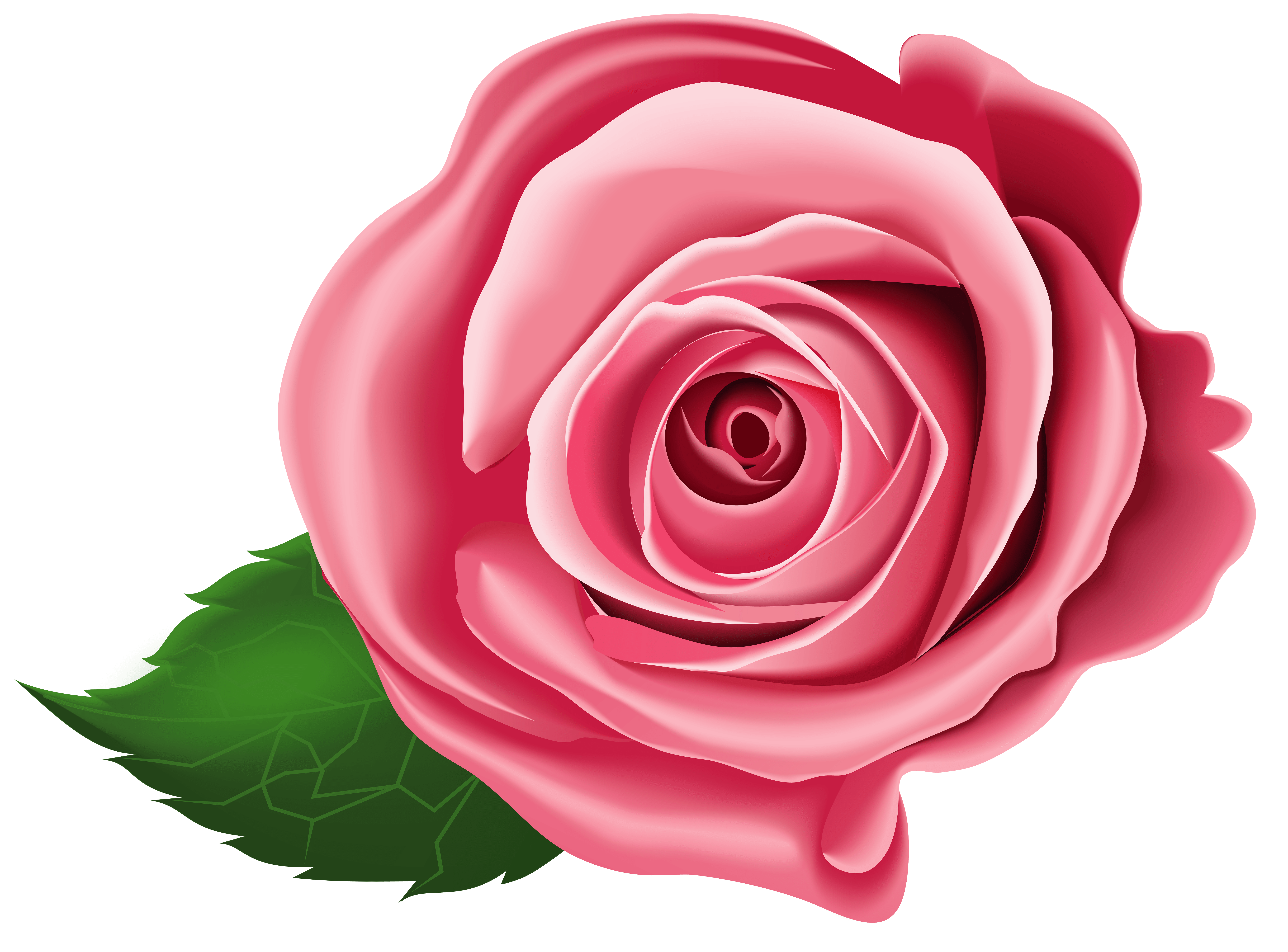 transparent background rose clipart - Clip Art Library