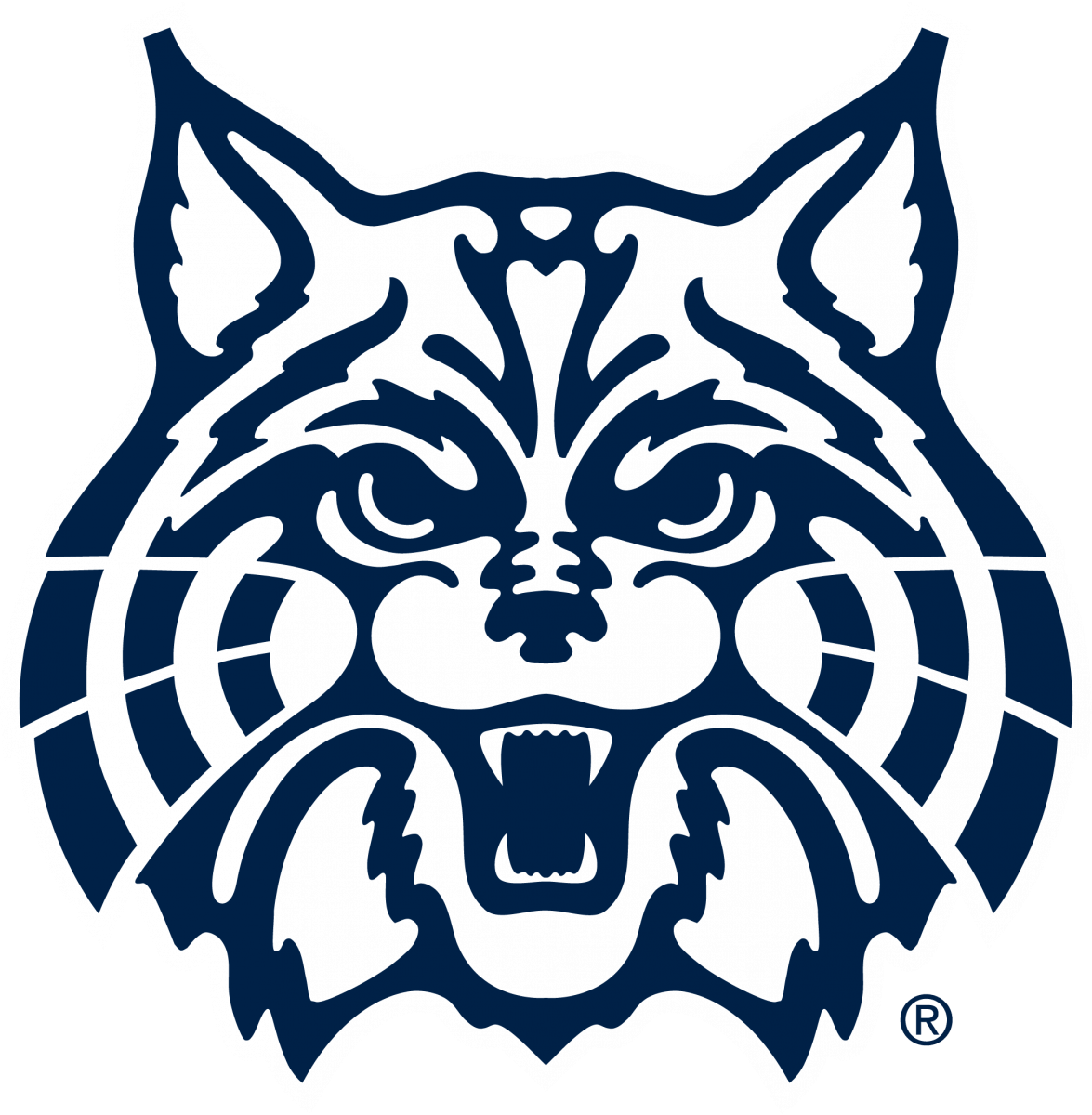 wildcat face drawing