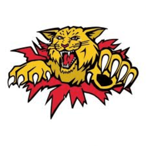 Wildcat Mascot Logo - Bold, Aggressive Sports Team Emblem