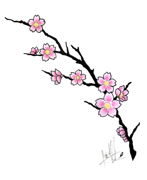 Delicate pink cherry blossom branch with yellow centers on black background, hand-drawn style with artist signature.