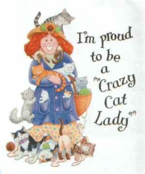 crazy cat lady clipart - Clip Art Library