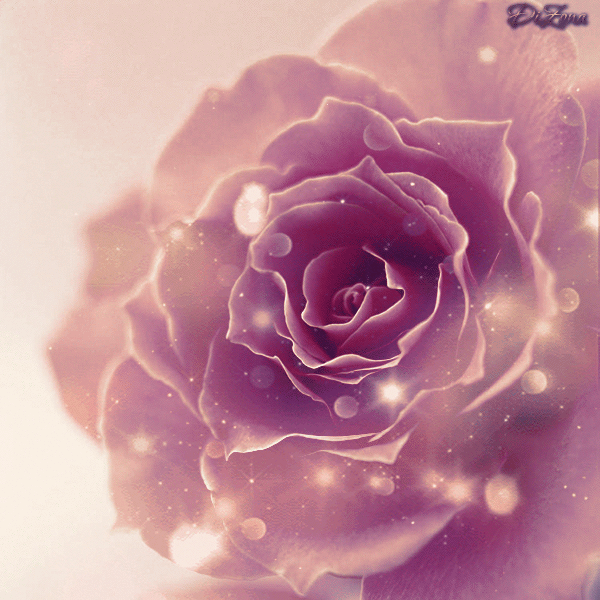 Free: Rosas Gifs - Rose Flower Animation Gif Png 