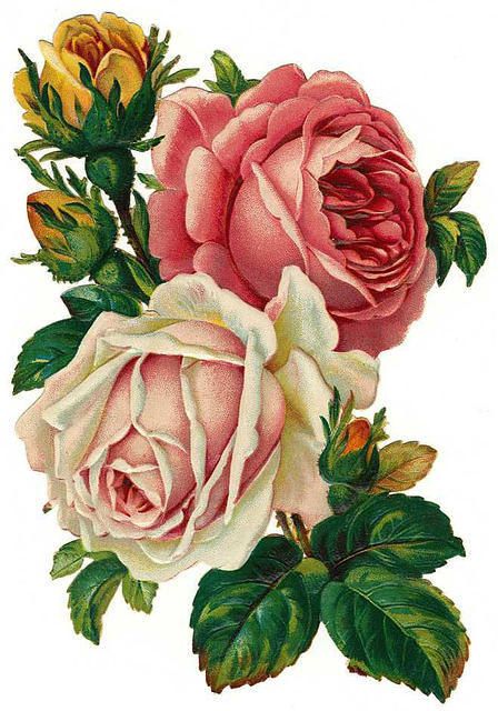 Free Pastel Rose Cliparts, Download Free Pastel Rose Cliparts png ...