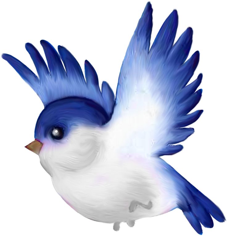 A vibrant blue-and-white cartoon bird in mid-flight with outstretched wings and expressive eyes.