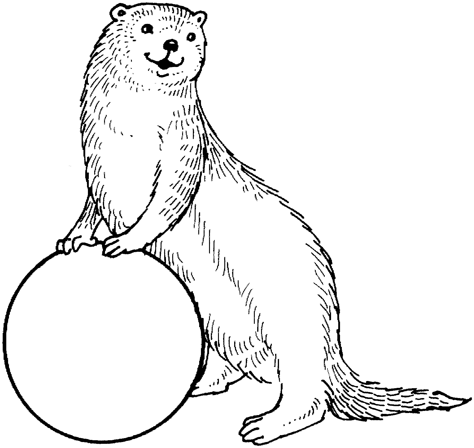 Friendly Otter Holding a Ball - Free Coloring Page & Animal Illustration