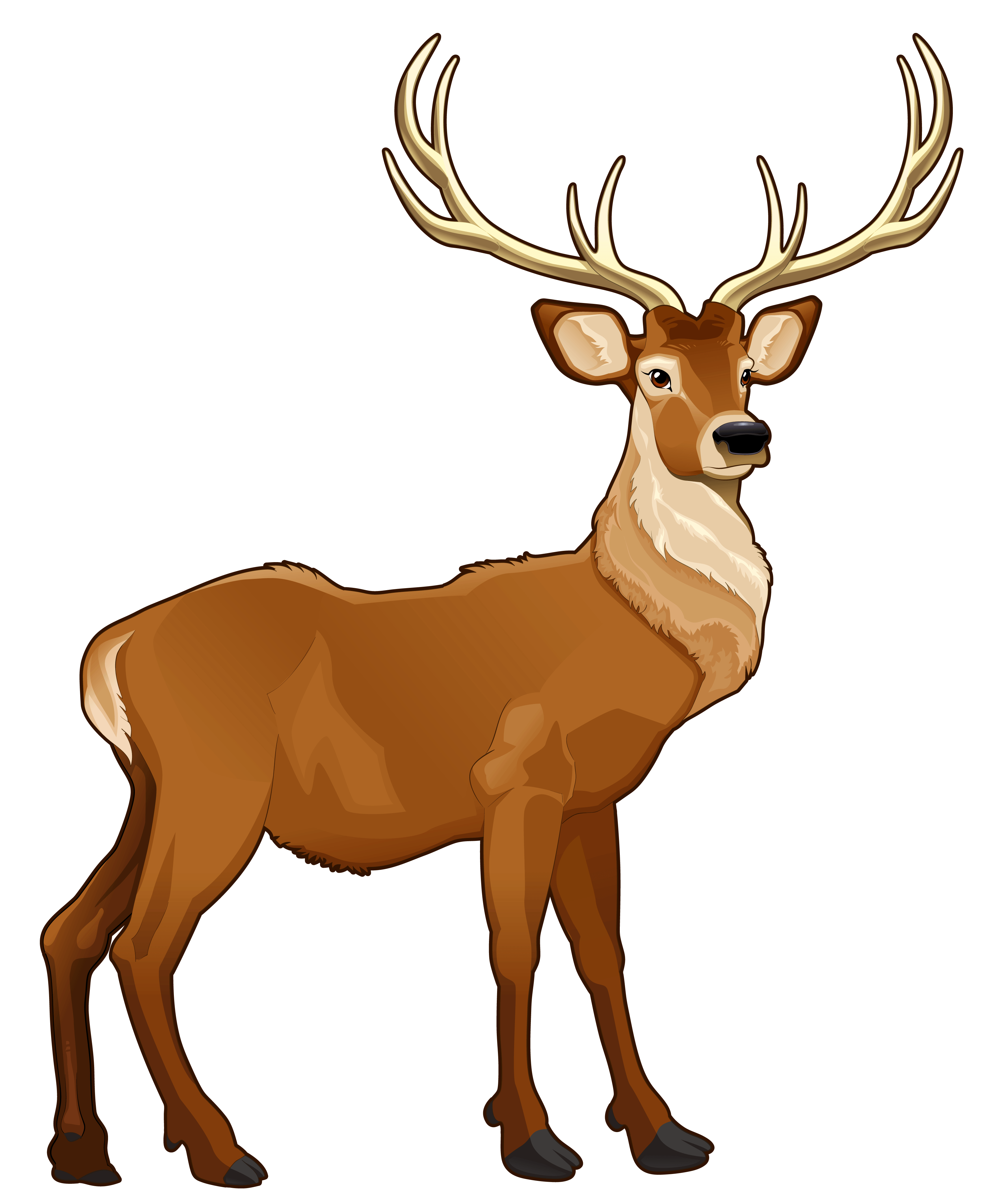 Stag with Impressive Antlers - Wildlife Illustration