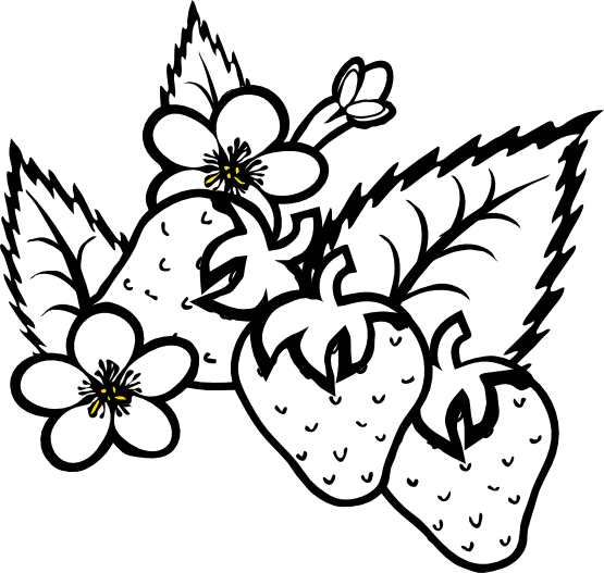 Strawberry Clipart Black And White