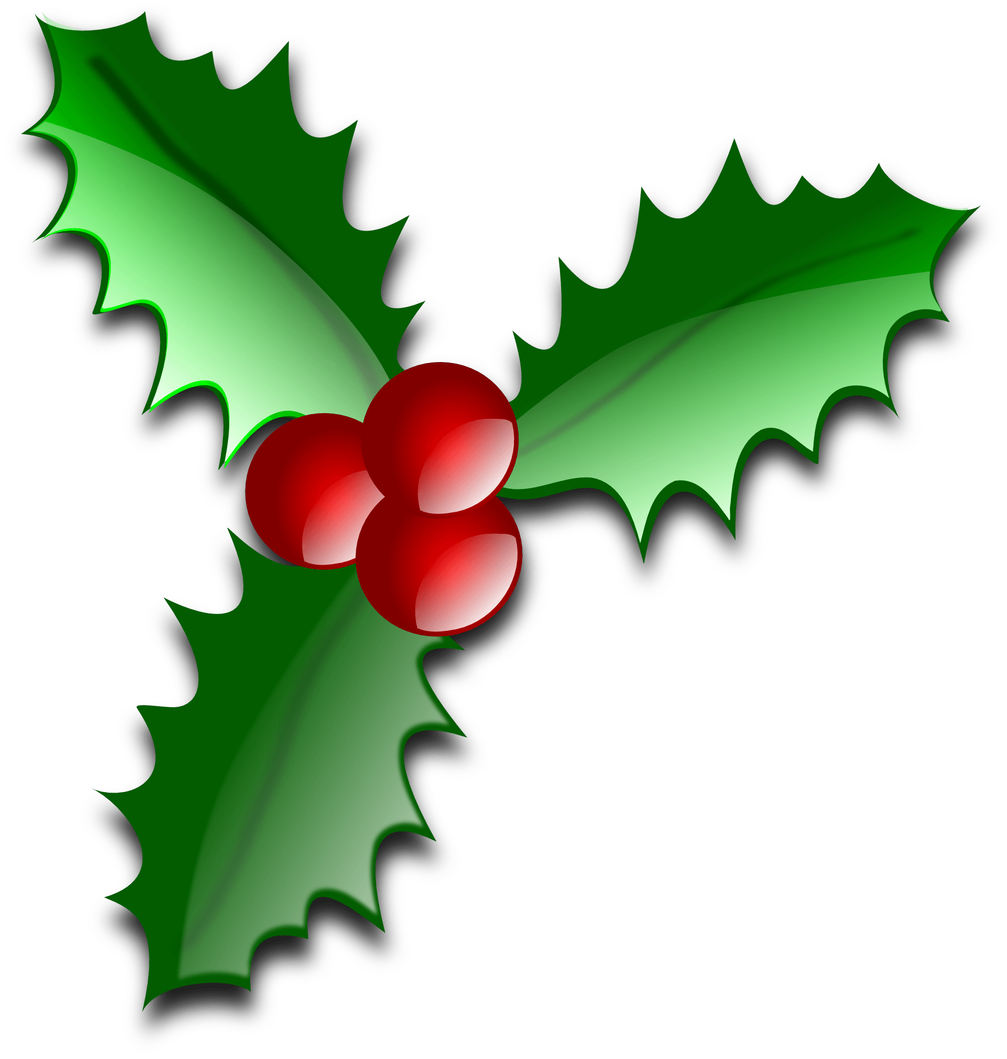 Merry Christmas 3010425