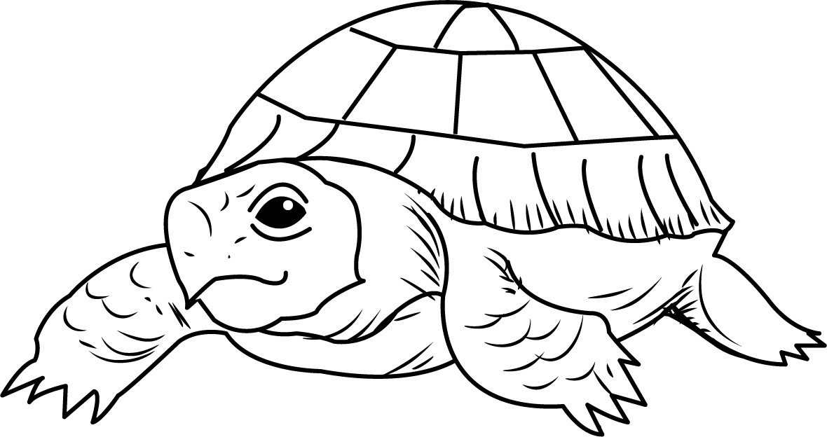 Free Tortoise Cliparts, Download Free Tortoise Cliparts png images ...