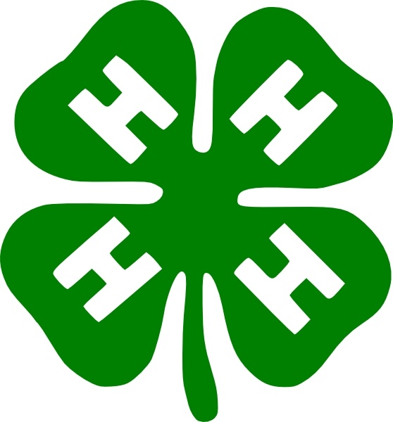 4-H Clover Logo - Official Emblem of Youth Leadership and Community Service