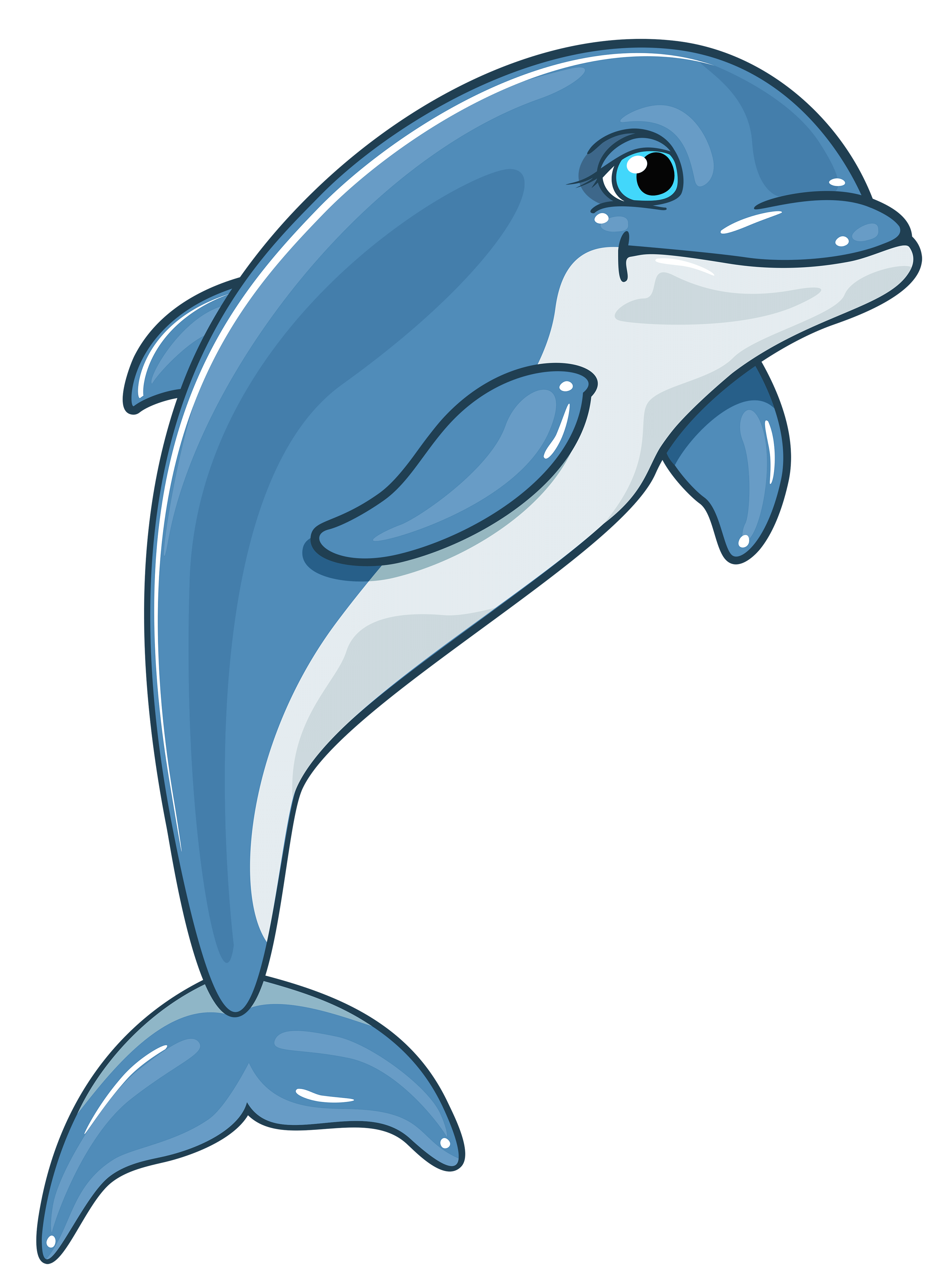 Dolphin clipart image