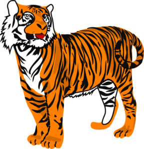Bengal Tiger Illustration - Bold Wildlife Art for Education & Design