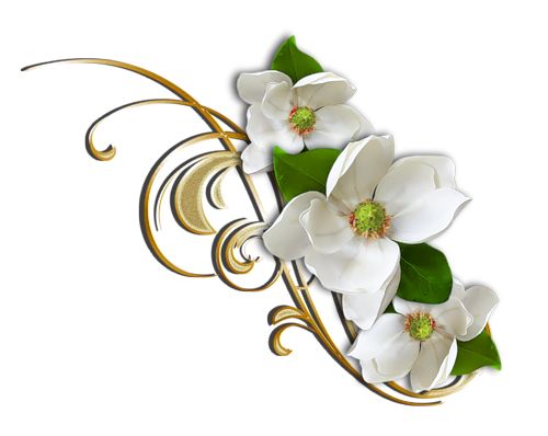 White Flower with Gold Decorative Elemant Clipart