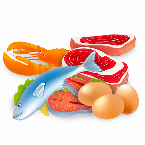 protein food group clipart - Clip Art Library