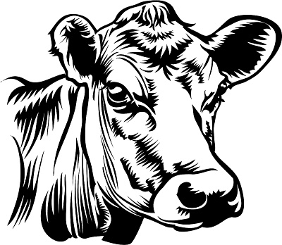 Free Cow Head Cliparts, Download Free Cow Head Cliparts png images ...