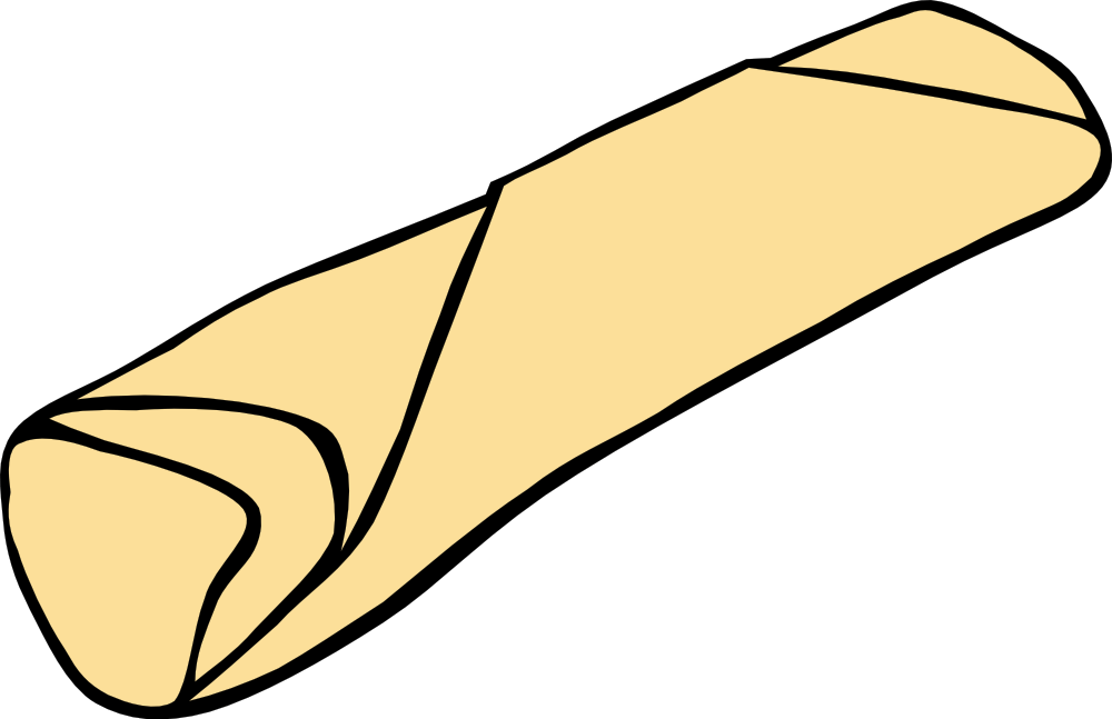 Illustrated golden-brown spring roll with crisp folds on black background