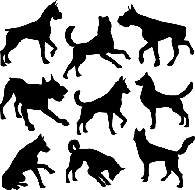 Minimalist Crescent Symbol - Clean Vector Graphic for Design Projects
