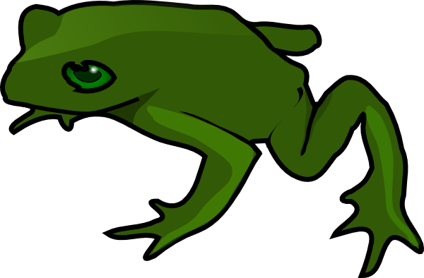 Green Frog Illustration - Nature & Wildlife Clipart