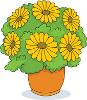 Bright yellow daisies in a terracotta pot with lush green foliage, cartoon-style illustration.
