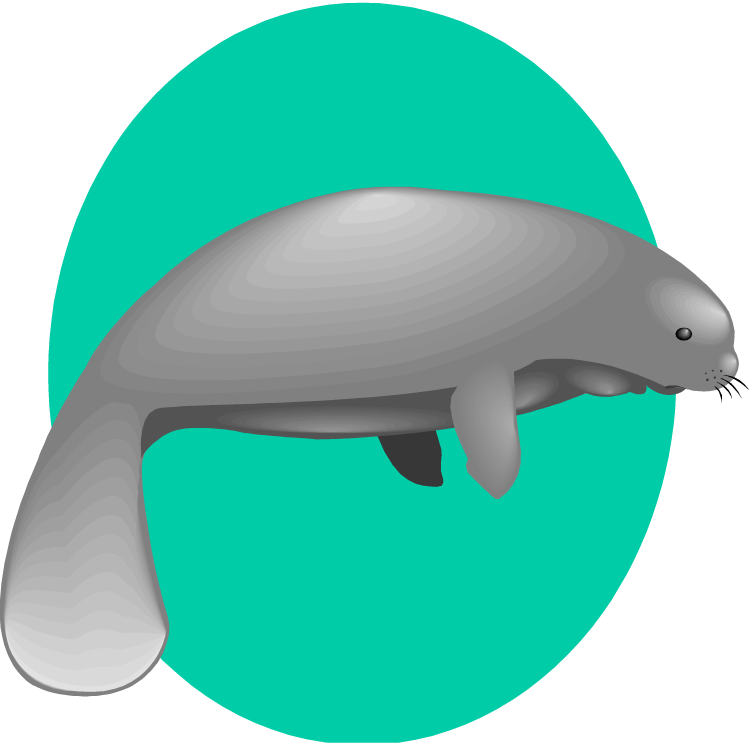 Free Manatee Cliparts Background, Download Free Manatee Cliparts ...