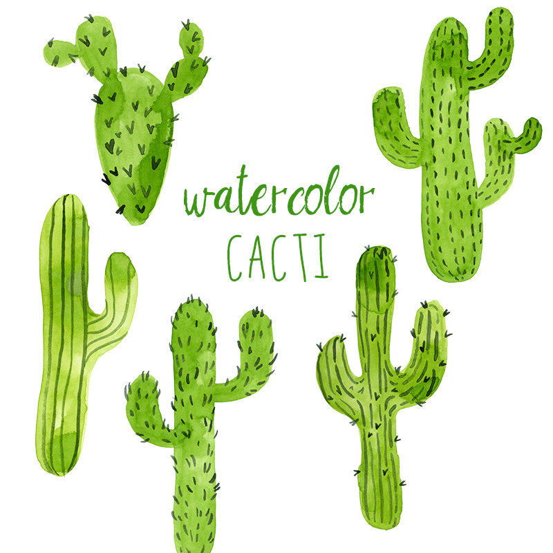 Watercolor Cactus Illustrations - Hand-Painted Desert Plants