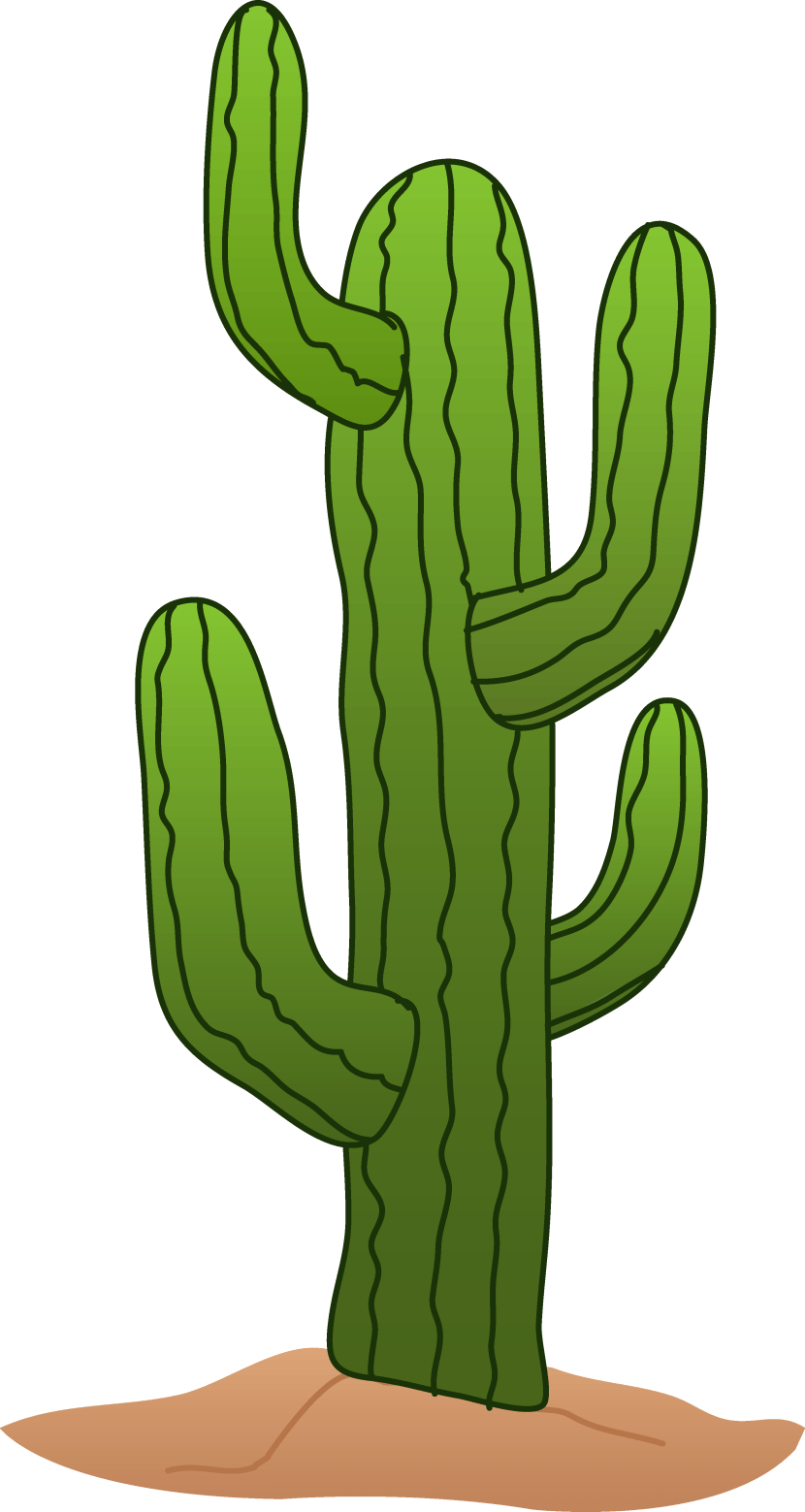 Saguaro Cactus Illustration - Desert Plant Icon
