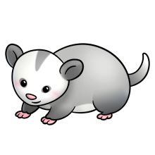 Adorable Opossum Illustration - Free Clipart for Educational & Creative Use