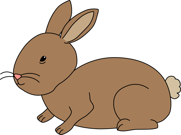 Feed and water rabbit clipart - Clip Art Library