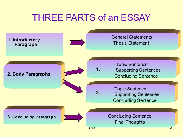 three parts of essay - Clip Art Library