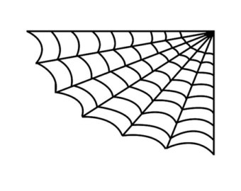 Black-and-white line drawing of a classic spiderweb in the upper-left corner, radiating outward with concentric curves and radial threads.