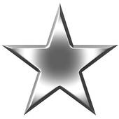 Silver Star Icon - High-Quality PNG for Awards, Ratings & Badges