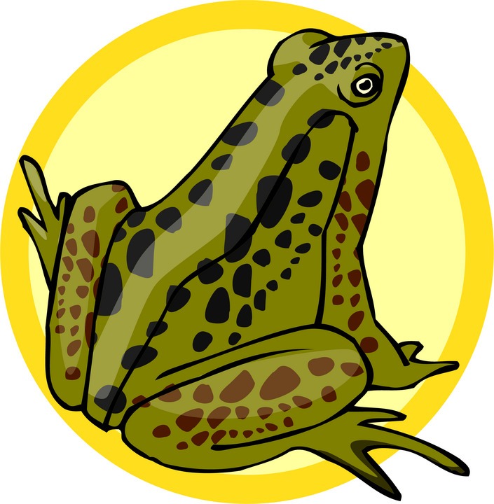 Green spotted frog illustration sitting upright against a yellow circular background.