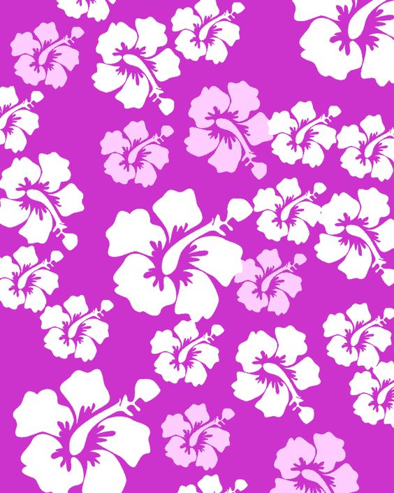 hibiscus-flowers-clipart-background-clip-art-library
