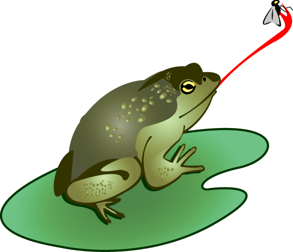 frog tongue clip art