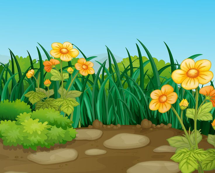 Free Swamp Background Cliparts, Download Free Swamp Background Cliparts ...