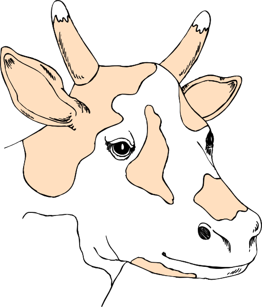 Stylized black-and-white cow head illustration with prominent horns and expressive eye against a dark background.