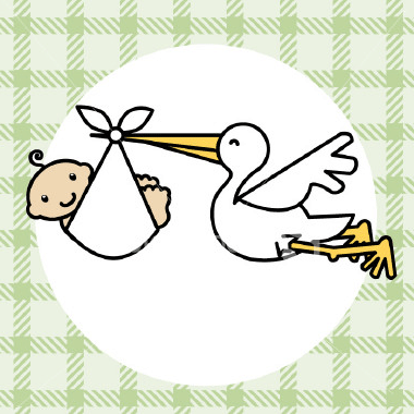 Stork Delivering Baby Illustration - Classic Newborn Announcement Art
