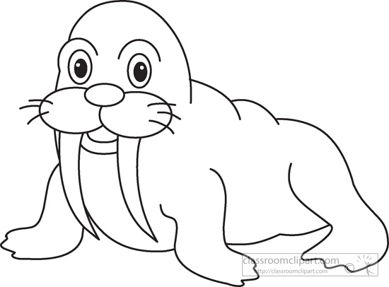 walrus clipart - Clip Art Library
