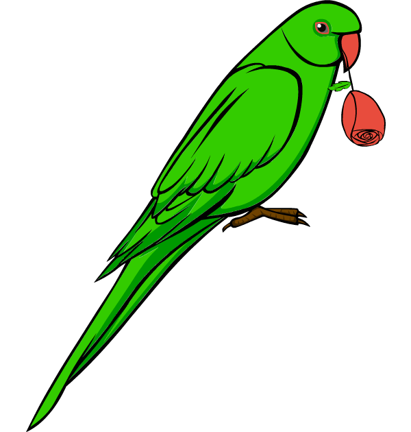 Bright green parrot holding a red rose in its beak against black background.