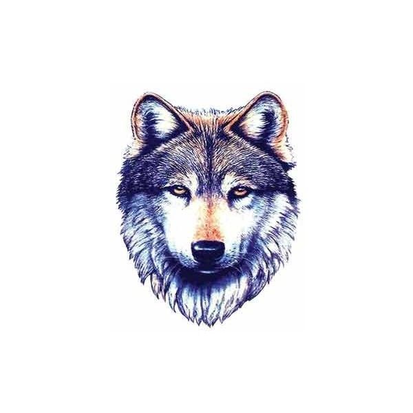 Detailed illustration of a gray wolf’s head with expressive amber eyes and textured fur, centered on white background.