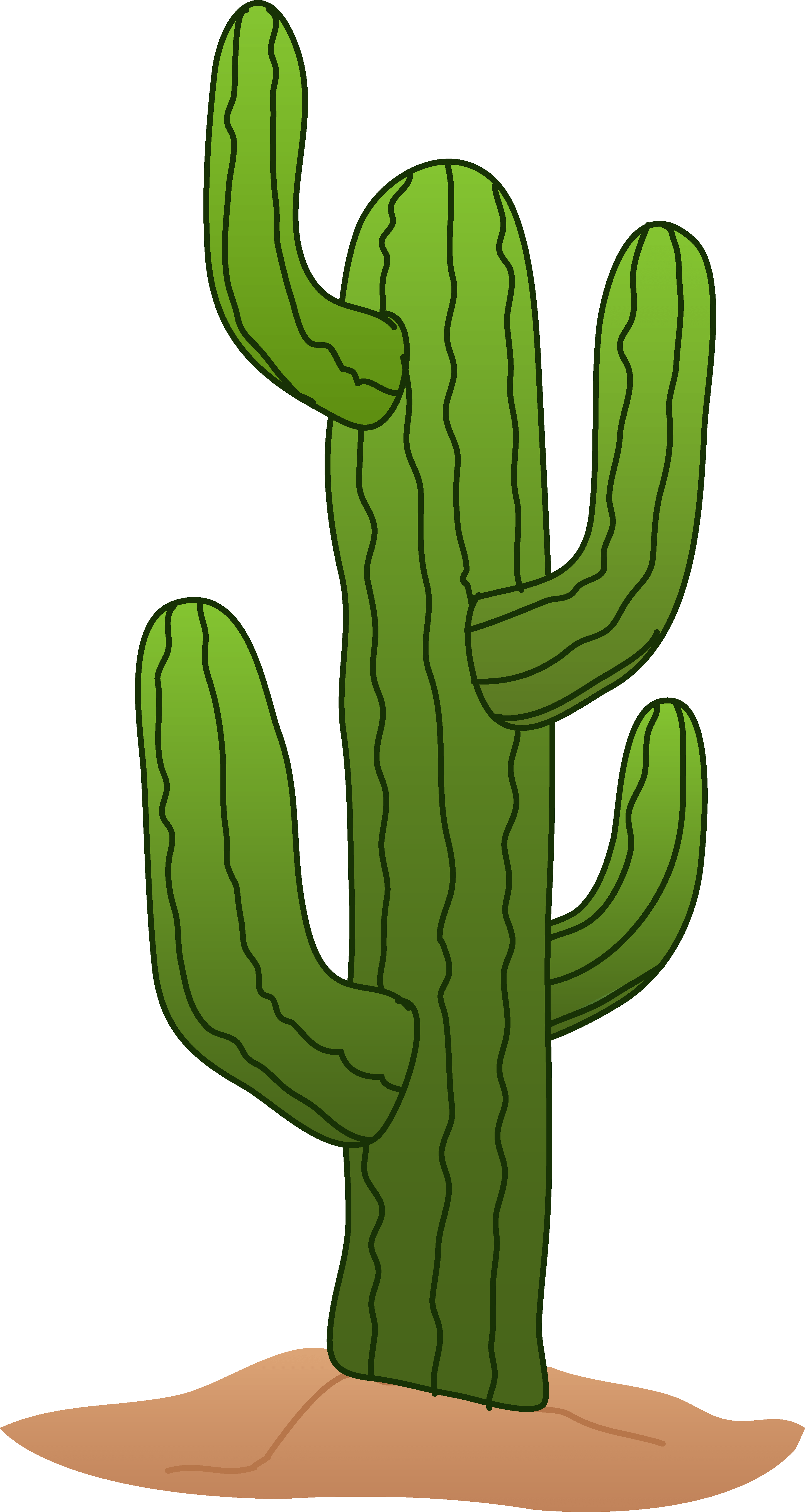 Cactus Clipart