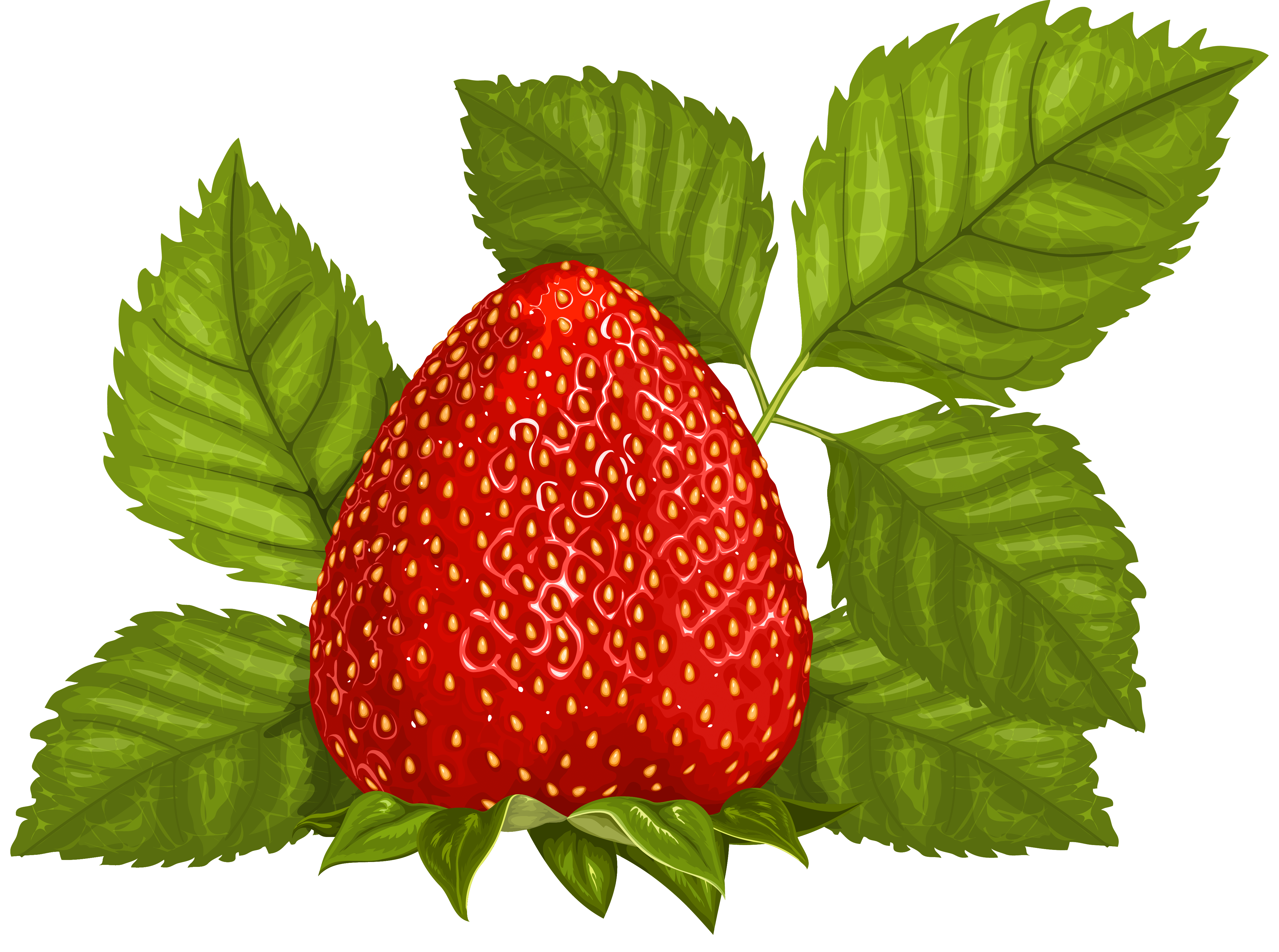 Fresh Strawberry with Leaves - High-Quality Illustration for Food & Health Content