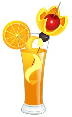 Refreshing Orange Cocktail with Citrus Garnish - Recipe & Visual Guide