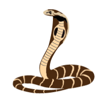 King Cobra Illustration - Iconic Venomous Snake Species